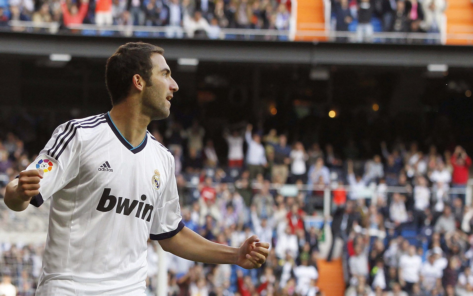 体育产业进入黄金时代